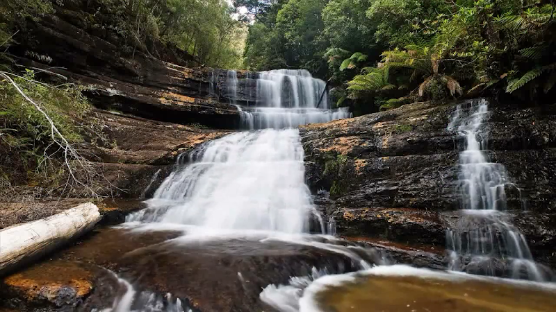 Mount Field National Park - Mount Field National Park, 66 Lake Dobson Rd, National Park TAS 7140, Australia