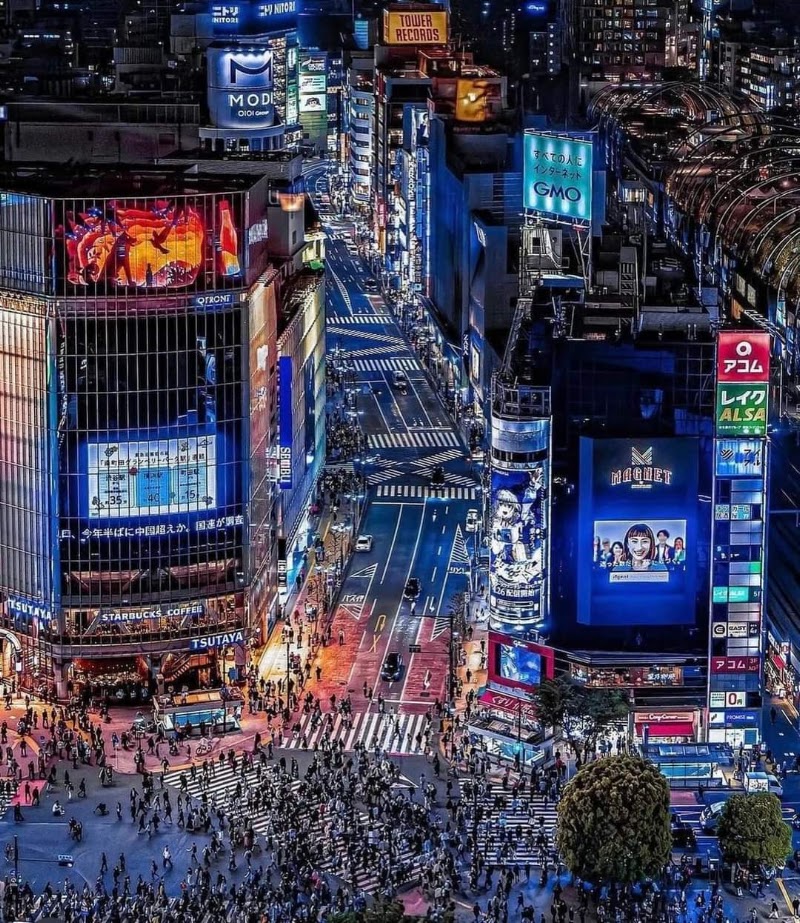 歌舞伎町さくら通り - 歌舞伎町さくら通り 1-chōme-6-16 Kabukichō, Shinjuku City, Tokyo 160-0021, Japan