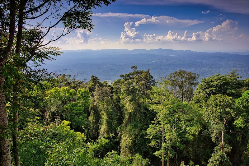 Khao Yai National Park - Khao Yai National Park, Nakhon Ratchasima, Thailand