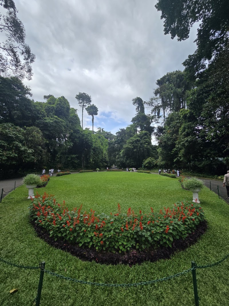 Kandy, Sri lanka - Kandy, Sri lanka, 7JVR+CCC, Kandy, Sri Lanka