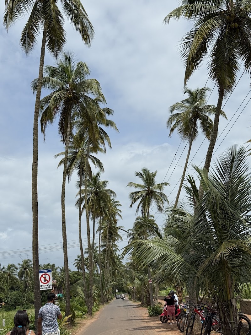 Madanni Park - Madanni Park, HQGP+V3X, Parra, Goa 403510, India
