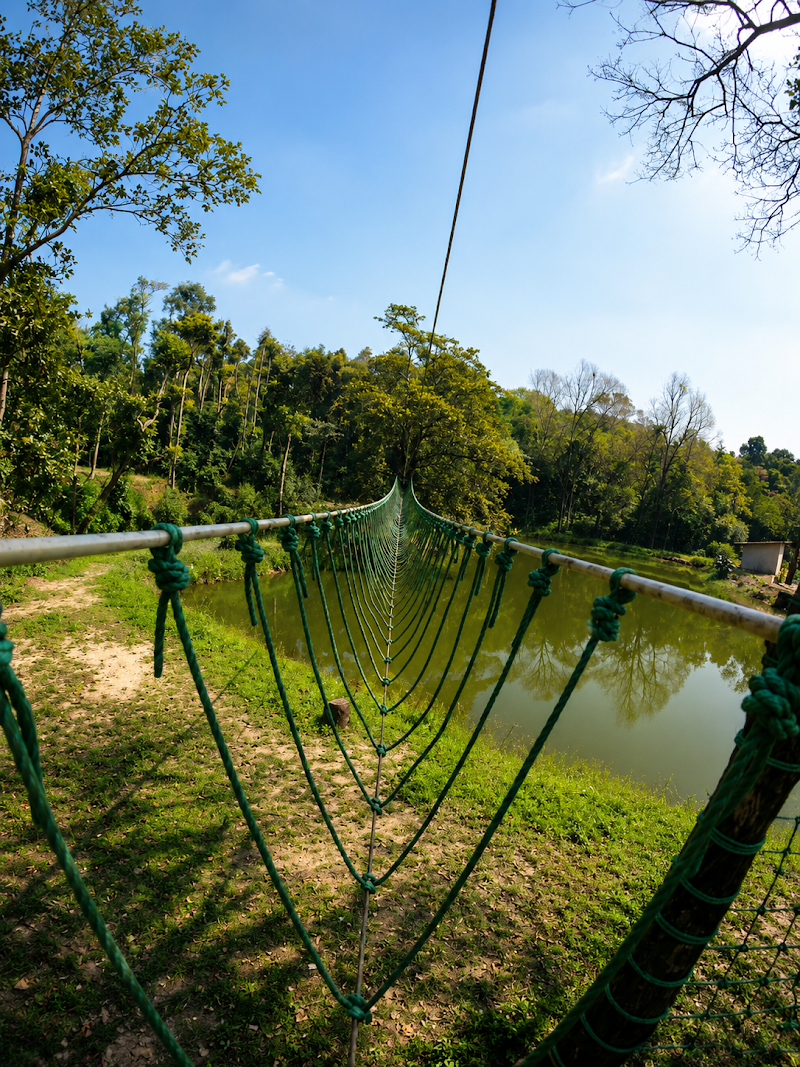 Sirimane homestay - Sirimane homestay Urubage village, near hemmadi, Mudigere, Urubage, Karnataka 577132, India