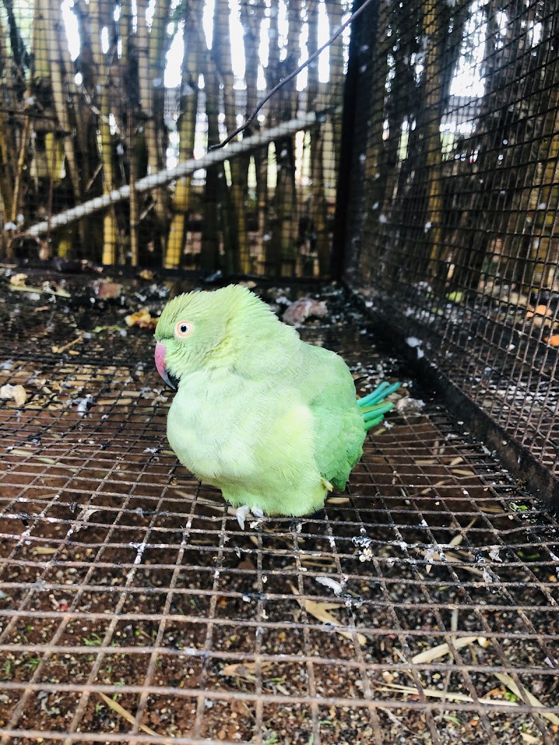 Sanjeevini Park - Sanjeevini Park, 40, Kamakshi Hospital Rd, Kuvempunagara North, Kuvempu Nagara, Mysuru, Karnataka 570009, India