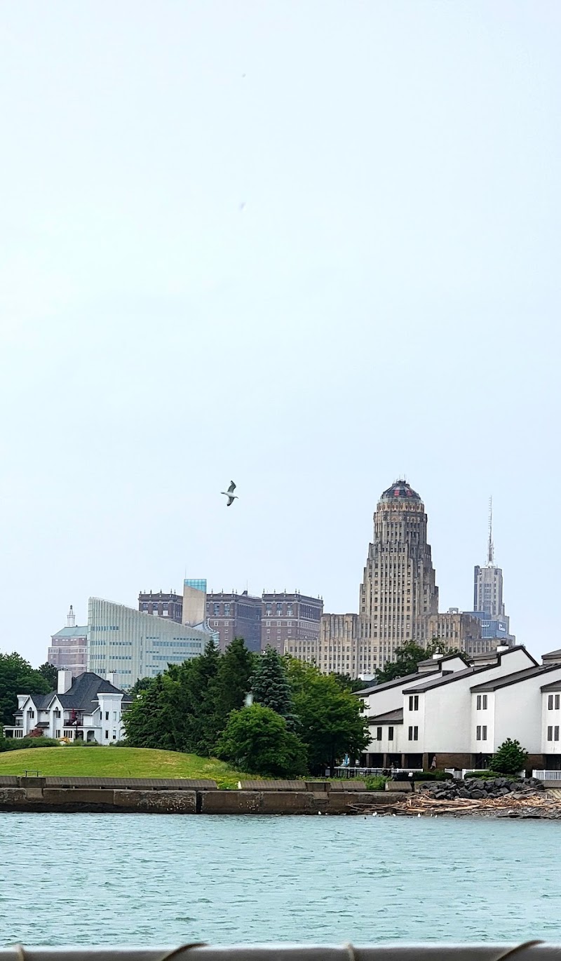 Buffalo - Buffalo, NY, USA