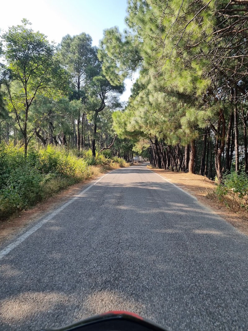 The owls nest - The owls nest 59G7+JJM, Unnamed Road, Tapovan, Braih, Rasan, Himachal Pradesh 176215, India