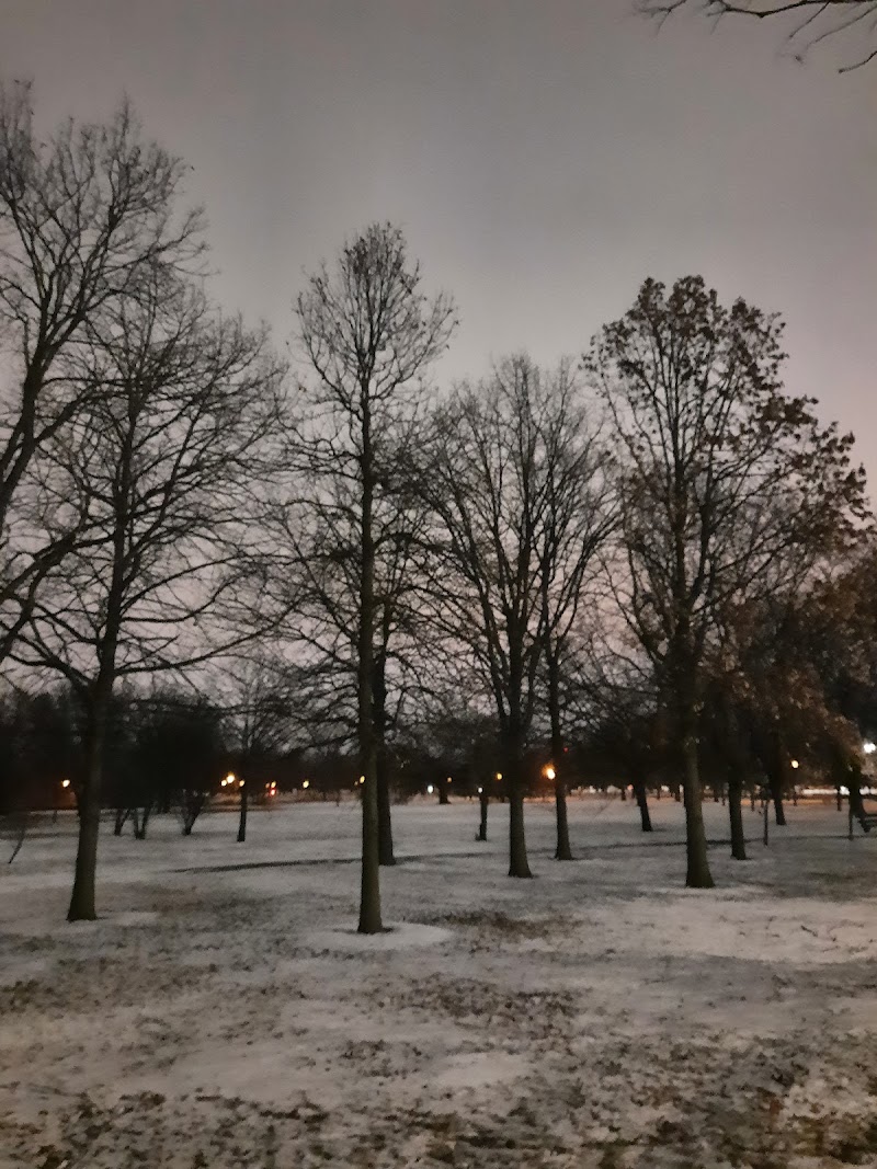 Douglass (Anna and Frederick) Park - Douglass (Anna and Frederick) Park 1401 S Sacramento Dr, Chicago, IL 60623, USA