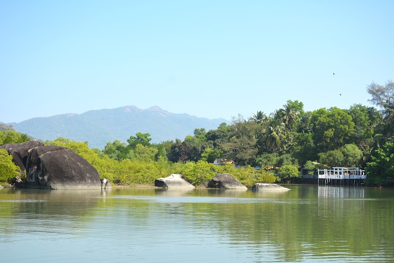 Backwaters Palolem - Backwaters Palolem Canacona, Goa 403702, India