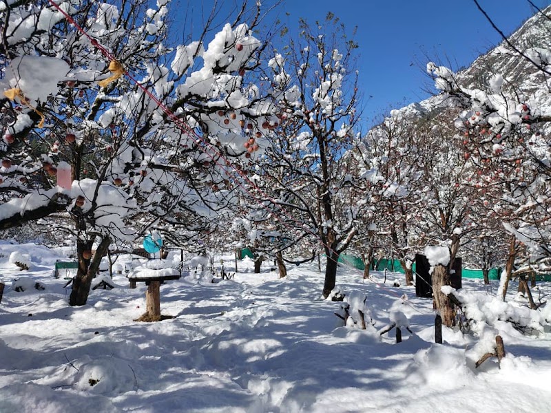 Apple Garden Cafe - Apple Garden Cafe, Pulga, Sosan, Himachal Pradesh 175105, India