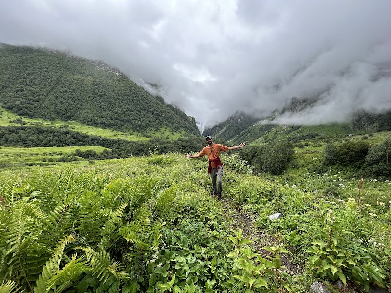 Valley of Flowers, The Paradise on Earth - Valley of Flowers, The Paradise on Earth PH4W+F96, Ghangaria - Valley of Flowers Trek Rte, Ghangaria, Uttarakhand 246443, India