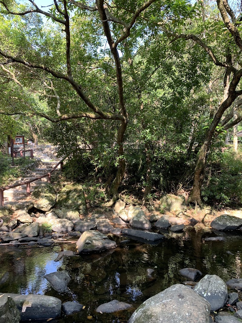 Mirror Pool - Mirror Pool, Hong Kong, New Territories, Shuen Wan, 船灣郊野公園