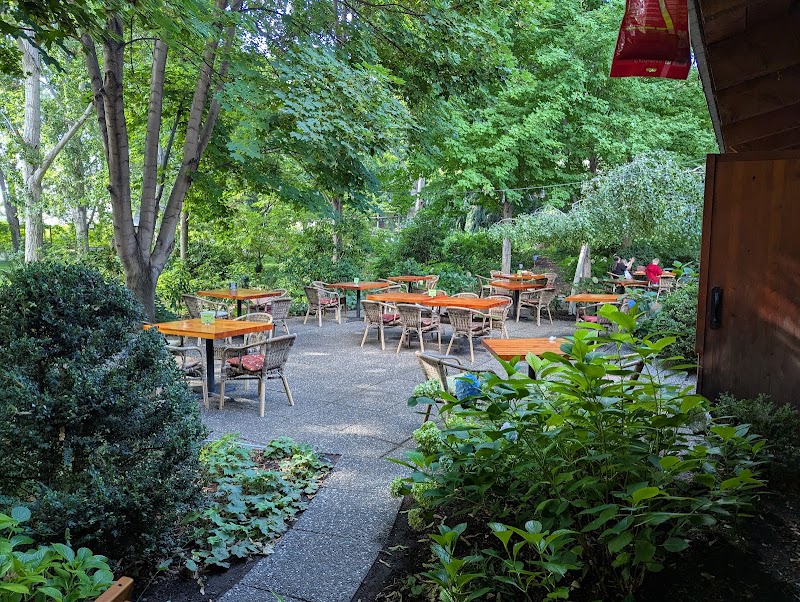 Frog City Cafe - Frog City Cafe 315 Linden Ave, Kaleden, BC V0H 1K0, Canada