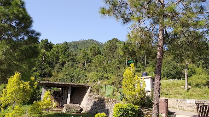 OYO Home 14047 Luxury 3BHK - OYO Home 14047 Luxury 3BHK, 3, BHK Cottage, Garkhal Kanda Rd, Kasauli, Himachal Pradesh 173225, India