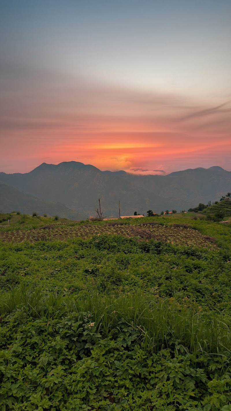 The Hillside Cottages Road - The Hillside Cottages Road, Kanatal, Jwarna, Tehri Range, Uttarakhand 249145, India
