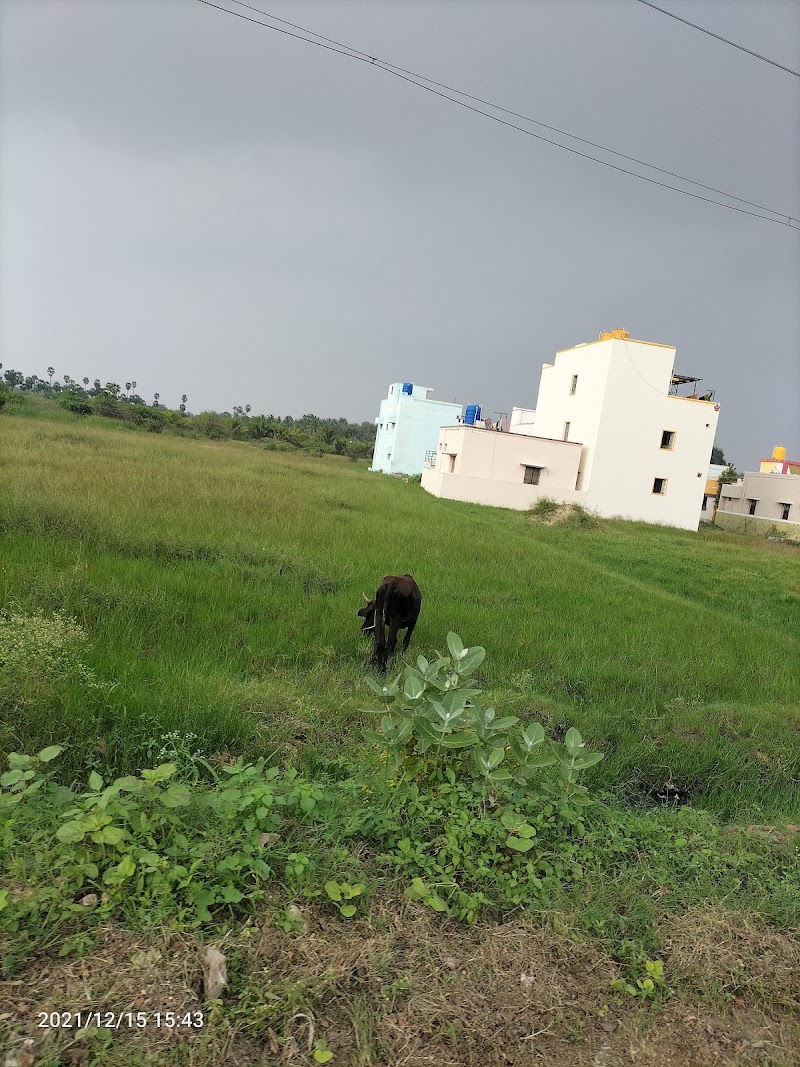 Katpadi Road - Katpadi Road Katpadi Rd, Vellore, Tamil Nadu, India
