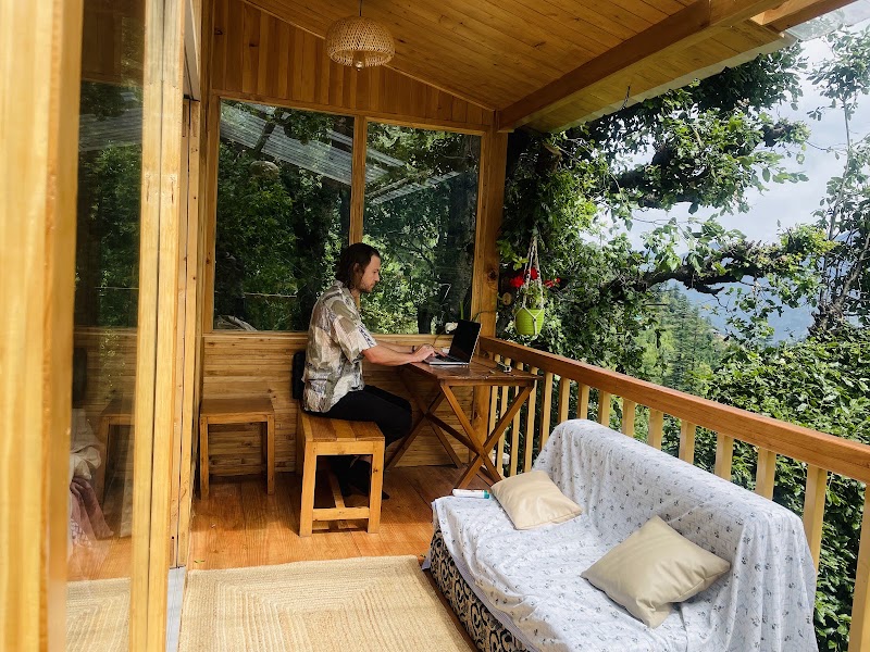 The Tree Cottage Jibhi - The Tree Cottage Jibhi Jibhi Gadagusheni Road, Village Bhalagran P.O. Tandi, Gadagushaini, Tehsil Banjar, Banjar, Tandi, Himachal Pradesh 175123, India