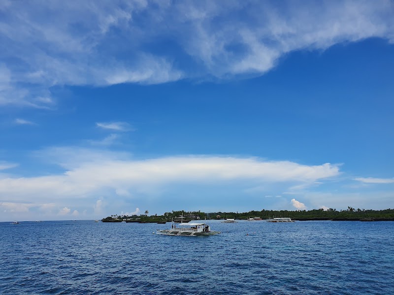 Talima Marine Sanctuary - Talima Marine Sanctuary, Talima, Olanggo Island, 73M2+3C3, Lungsod ng Lapu-Lapu, Lalawigan ng Cebu, Philippines