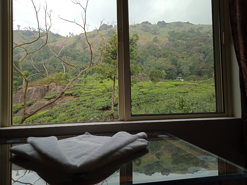 Tea Dale - Tea Dale Pothamedu, Munnar, Kerala 685612, India