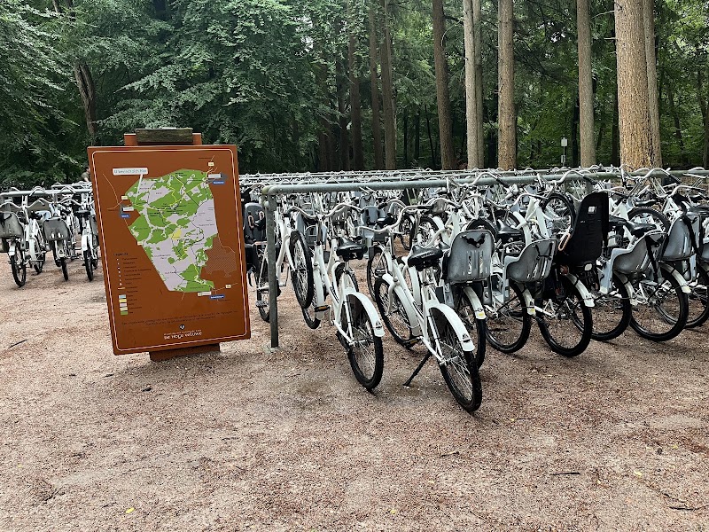 Nationaal Park De Hoge Veluwe - Nationaal Park De Hoge Veluwe, Netherlands