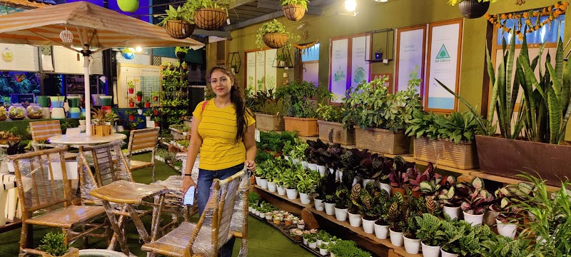 Go Green Nursery Pvt Ltd - Go Green Nursery Pvt Ltd Tara (Karnala), Post: Barapada, Mumbai - Goa Highway, Near Yusuf Meherally Centre, Taluka:, 410 206, NH 66, Panvel, Districty:, Karnala, Maharashtra 410221, India