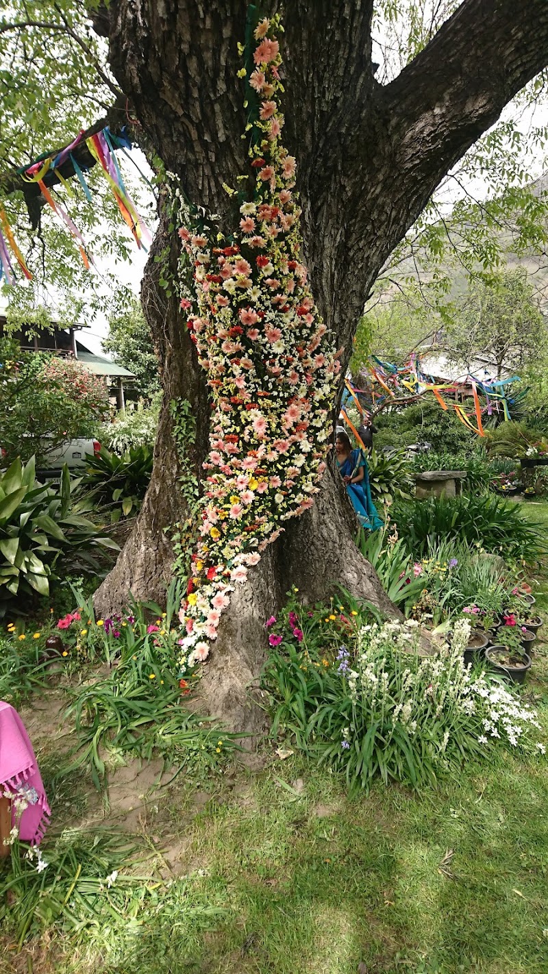Johnson's Orchards - Johnson's Orchards, 344P+324, National Highway 21, Raison, Himachal Pradesh 175128, India