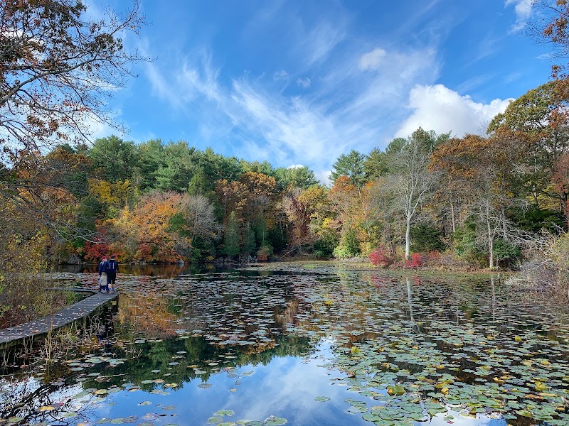Mass Audubon's Ipswich River Wildlife Sanctuary - Mass Audubon's Ipswich River Wildlife Sanctuary 87 Perkins Row, Topsfield, MA 01983, USA