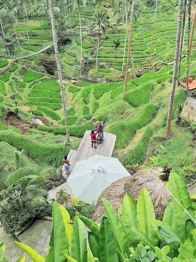 Alas Harum Bali - Alas Harum Bali, Jl. Raya Tegallalang, Tegallalang, Kec. Tegallalang, Kabupaten Gianyar, Bali 80561, Indonesia