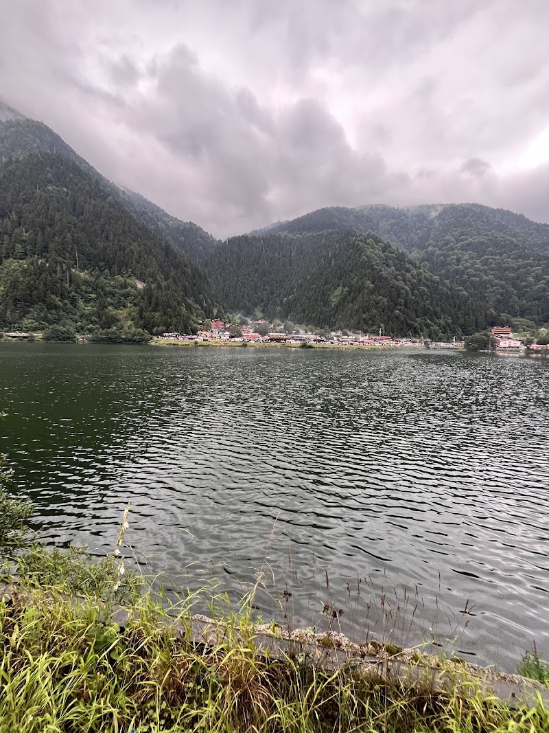 Uzungol Observation Deck - Uzungol Observation Deck Uzungöl, 61940 Çaykara/Trabzon, Türkiye