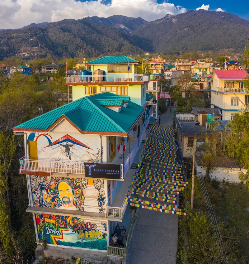 The Trippy Tribe - The Trippy Tribe The Trippy Tribe, Deer Park Rd, Bir Colony, Tehsil, Baijnath, Chaugan, Himachal Pradesh 176077, India