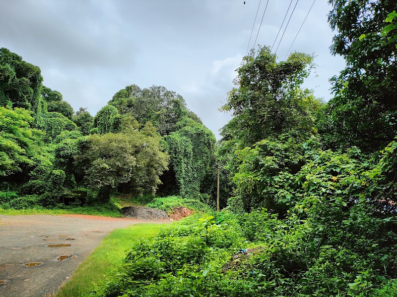 Chimbel Waterfall - Chimbel Waterfall FVHF+H9M, Tiswadi, Mersi Tem, Goa 403006, India