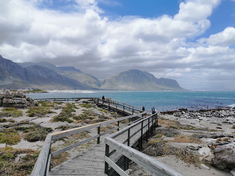 Stony Point Nature Reserve - Stony Point Nature Reserve, 2411 Wallers Rd, Betty's Bay, 7141, South Africa