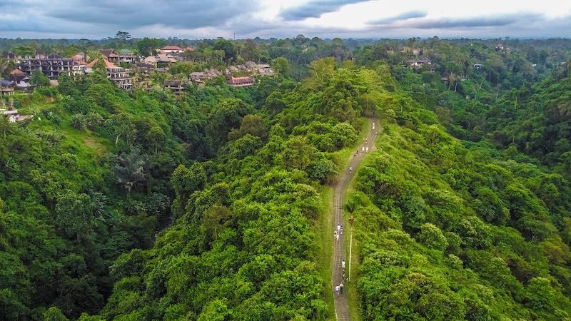 Campuhan Ridge Walk - Campuhan Ridge Walk Jl. Raya Ubud, Kelusa, Kec. Payangan, Kabupaten Gianyar, Bali, Indonesia
