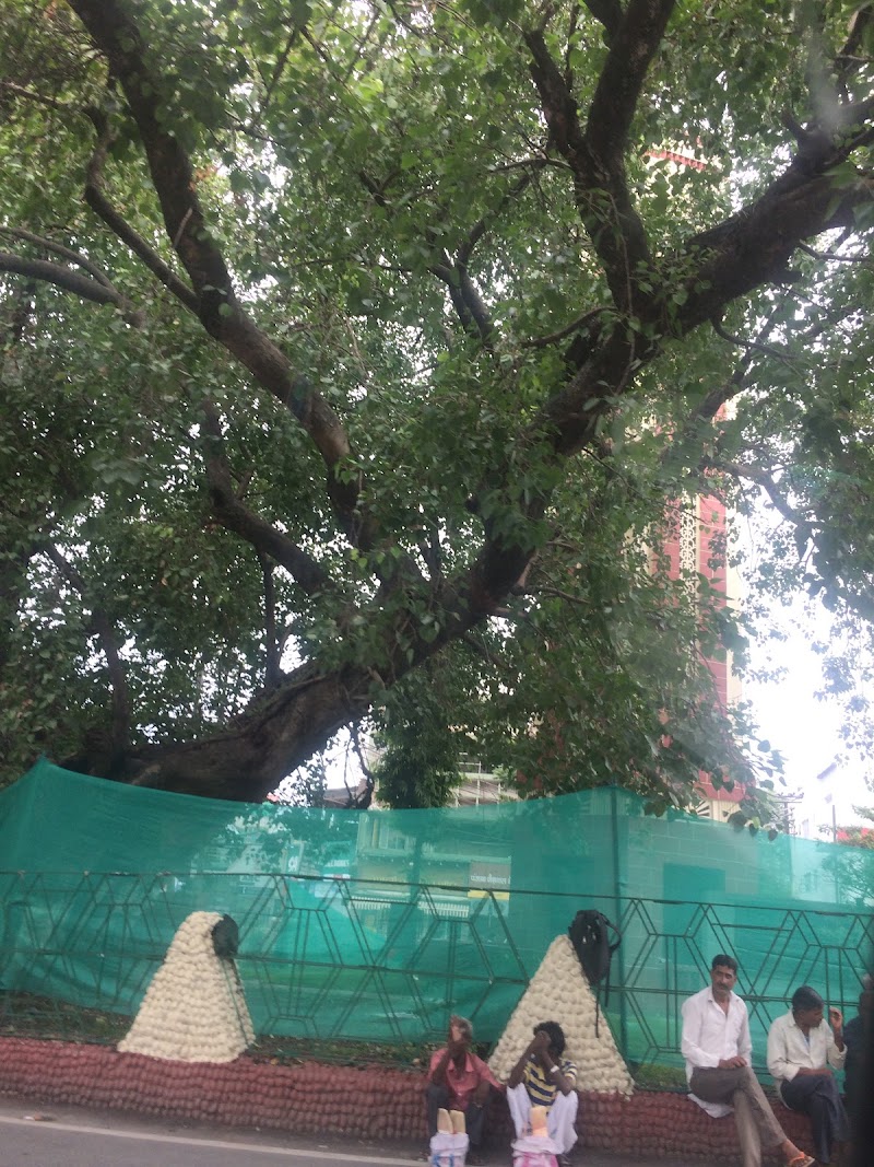 Chakrata Road - Chakrata Road, Chakrata Rd, Dehradun, Uttarakhand 248006, India