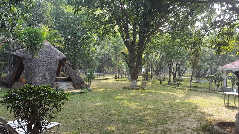 Jim Corbett Jeep Safari Booking - Jim Corbett Jeep Safari Booking Jhirna Gate Road Himmatpur Dotiyal, Dhela Rd, Sawal Deh East, Sewal Khaliya, Uttarakhand 244715, India