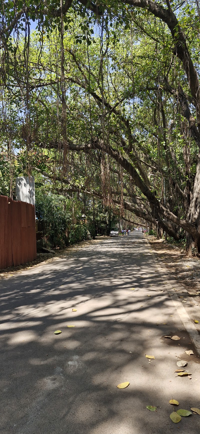 Koregaon Park - Koregaon Park, Clover Dale A, 311, Meera Nagar Path, Ashok Chakra Society, Meera Nagar, Koregaon Park, Pune, Maharashtra 411001, India