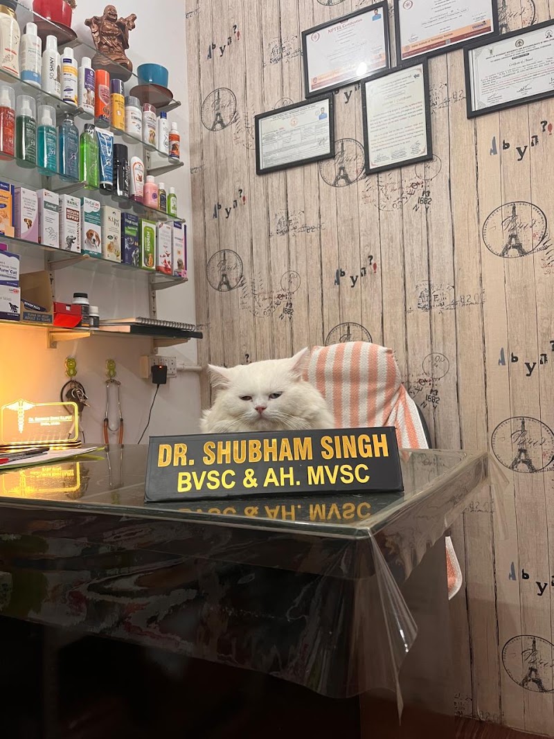 Petsvet animal hospital - Petsvet animal hospital A market, 23 A, Zonal Market, Sector 10, Bhilai, Chhattisgarh 490006, India