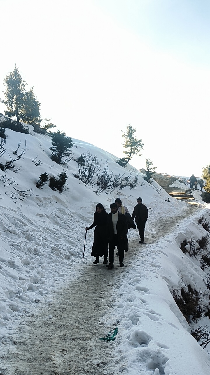 Dalhousie kalatop camping - Dalhousie kalatop camping H229+8FF, Kalatope R.F, Kalatop, Himachal Pradesh 176304, India