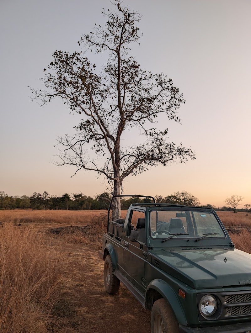 Gomarda Wildlife Sanctuary (ABHYARANYA) - Gomarda Wildlife Sanctuary (ABHYARANYA), C55P+9J8, Chhattisgarh 496445, India