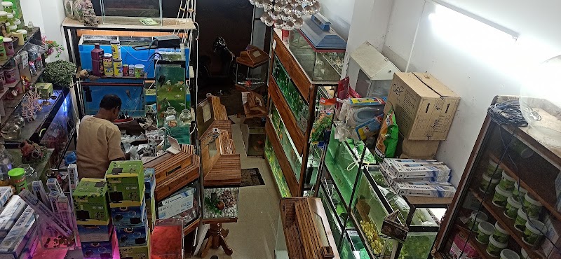 AR Fish hub - AR Fish hub, Street No. 1, Kohka, Bhilai, Chhattisgarh 490023, India