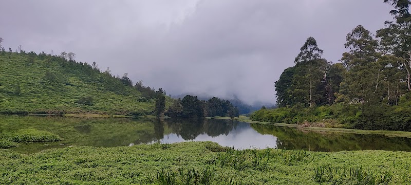 Nilgiri hills view point - Nilgiri hills view point Nelliyalam, Nadugani, Tamil Nadu 643211, India