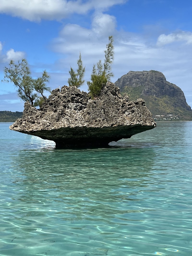 Baie du Tamarin - Baie du Tamarin, Mauritius