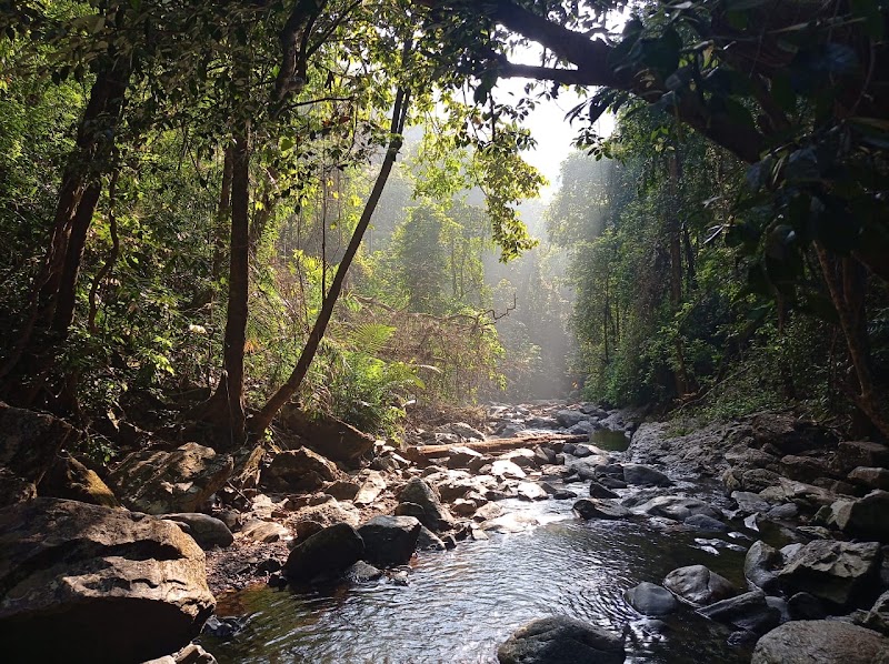 Netravali Wildlife Sanctuary Goa - Netravali Wildlife Sanctuary Goa 36MJ+FR7, Unnamed Road, Neturlim, Goa 403704, India
