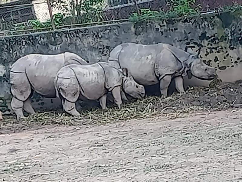 Assam State Zoo cum Botanical Garden - Assam State Zoo cum Botanical Garden RG Baruah Rd, Japorigog, Guwahati, Assam 781005, India