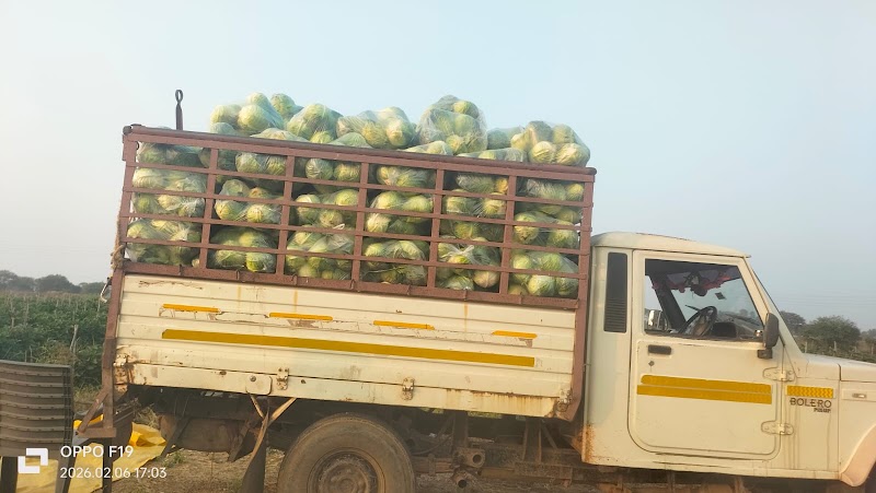 CHR Farms & Safe Farm - CHR Farms & Safe Farm, Changori, Chhattisgarh 491111, India