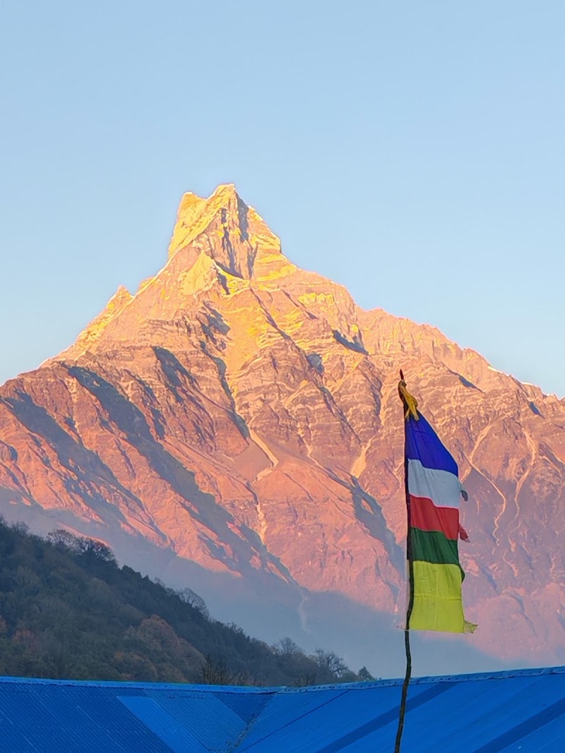 Low Camp (Mardi Himal Trek) - Low Camp (Mardi Himal Trek) CV34+7PG, Lwang Ghalel 33700, Nepal