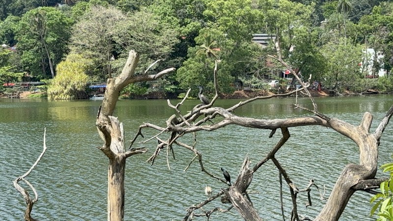 Kandy Lake Round - Kandy Lake Round, 7JVQ+448, Kandy, Sri Lanka