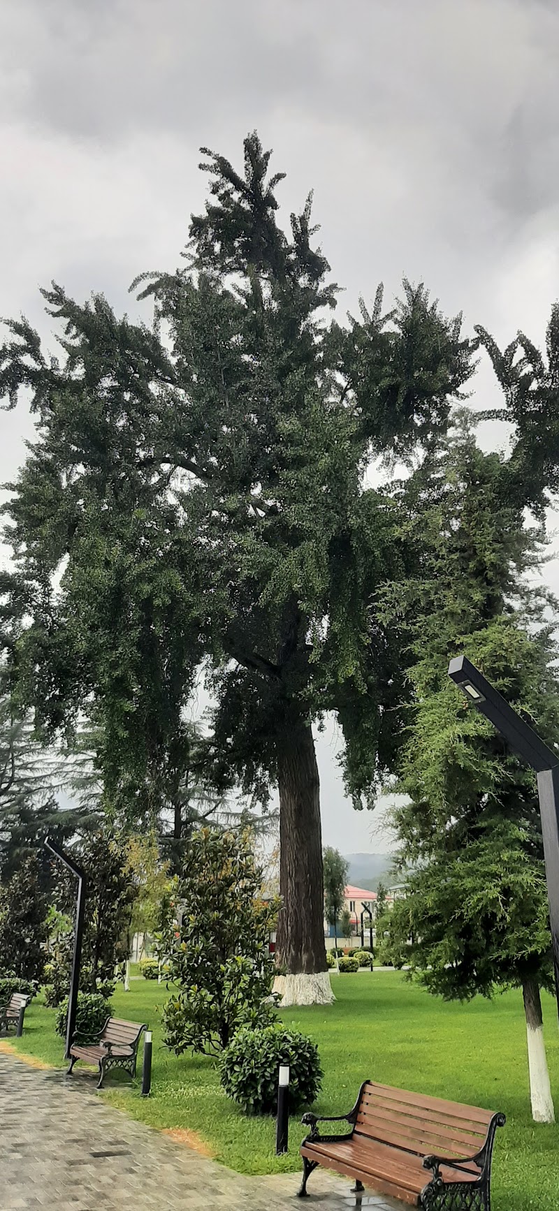 Lagodekhi Park - Lagodekhi Park, R79C+97R, Lagodekhi, Georgia