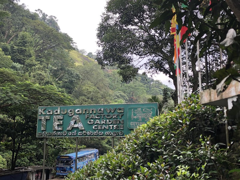 Kadugannawa Tea Factory & Sales Center - Kadugannawa Tea Factory & Sales Center, Kadugannawa, Sri Lanka