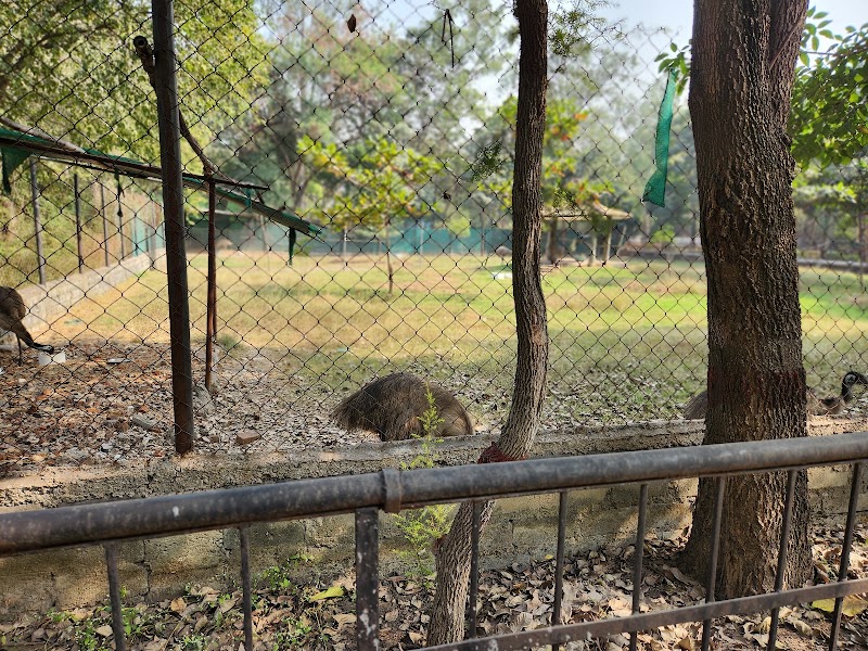 Nandan Van Zoo - Nandan Van Zoo 7GMV+8FV, Atari, Hatband, Chhattisgarh 492099, India
