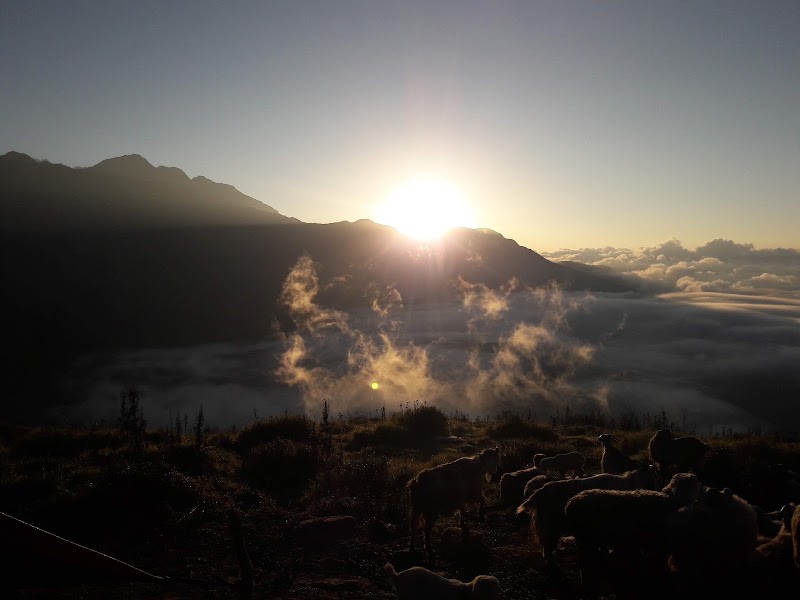 Mardi Himal Base Camp - Mardi Himal Base Camp Lumle 33700, Nepal