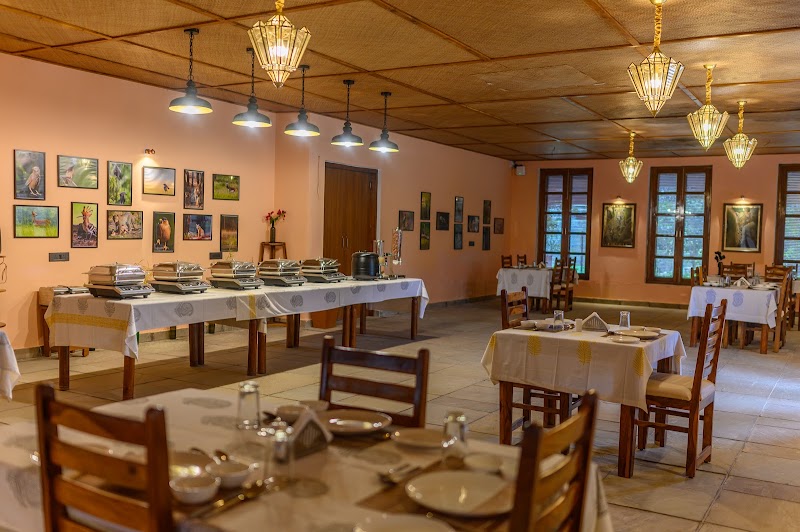The Beehad Resort - The Beehad Resort, Tehsil- Telha, Talab, near Sariska Tiger Reserve, Sariska, Losal, Rajasthan 301408, India